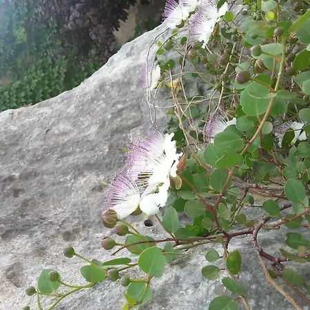 Masseria Santa Lucia Ματέρα