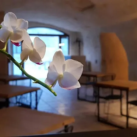 Masseria Santa Lucia Ξενοδοχείο με διαμερίσματα Ματέρα